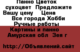 Панно Цветок - сухоцвет. Предложите Вашу цену! › Цена ­ 4 000 - Все города Хобби. Ручные работы » Картины и панно   . Амурская обл.,Зея г.